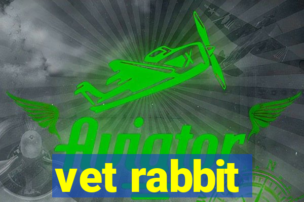 vet rabbit